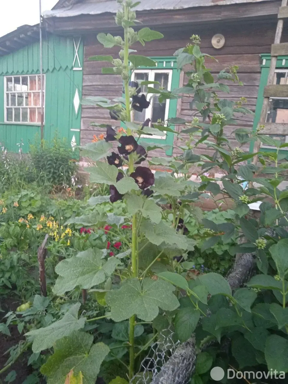 коттедж, Фильяново, без посредников