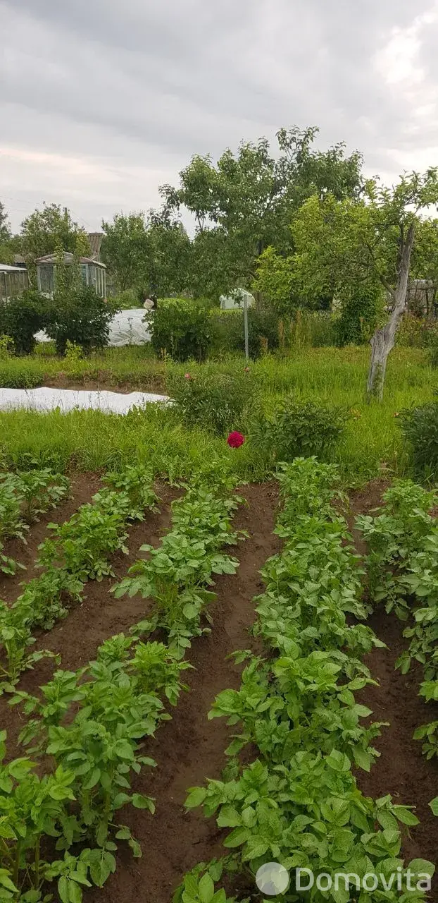 Купить земельный участок, 12 соток, Трикотаж, Витебская область, 3500USD, код 570321 - фото 28