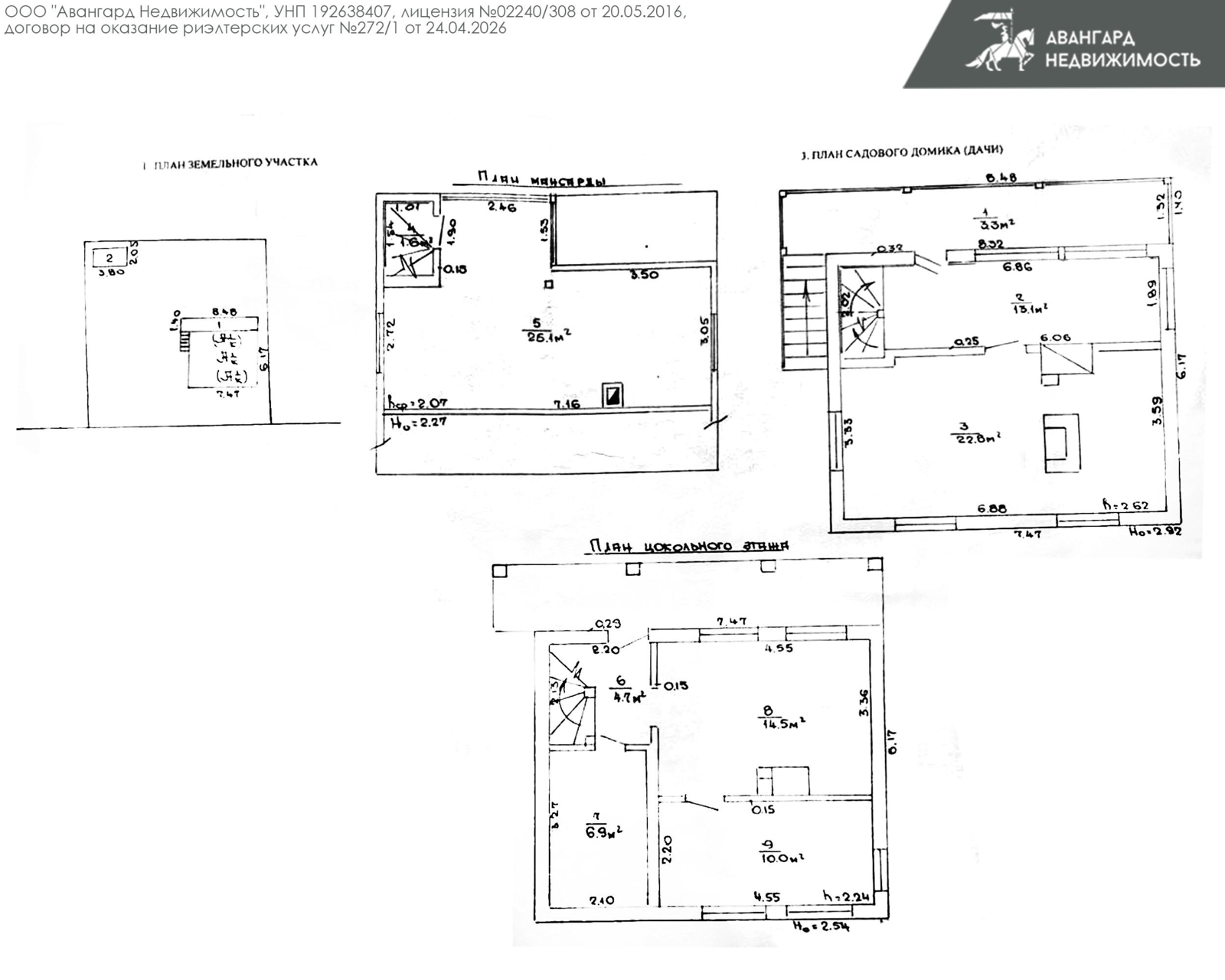 дача, Ромашка Соломореченская, 