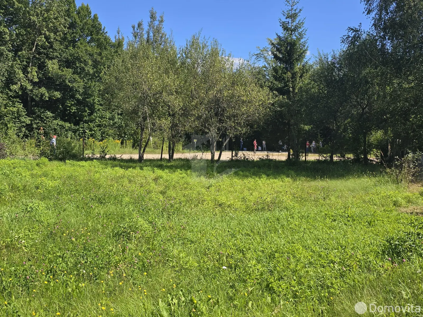 участок, Дубрава, 