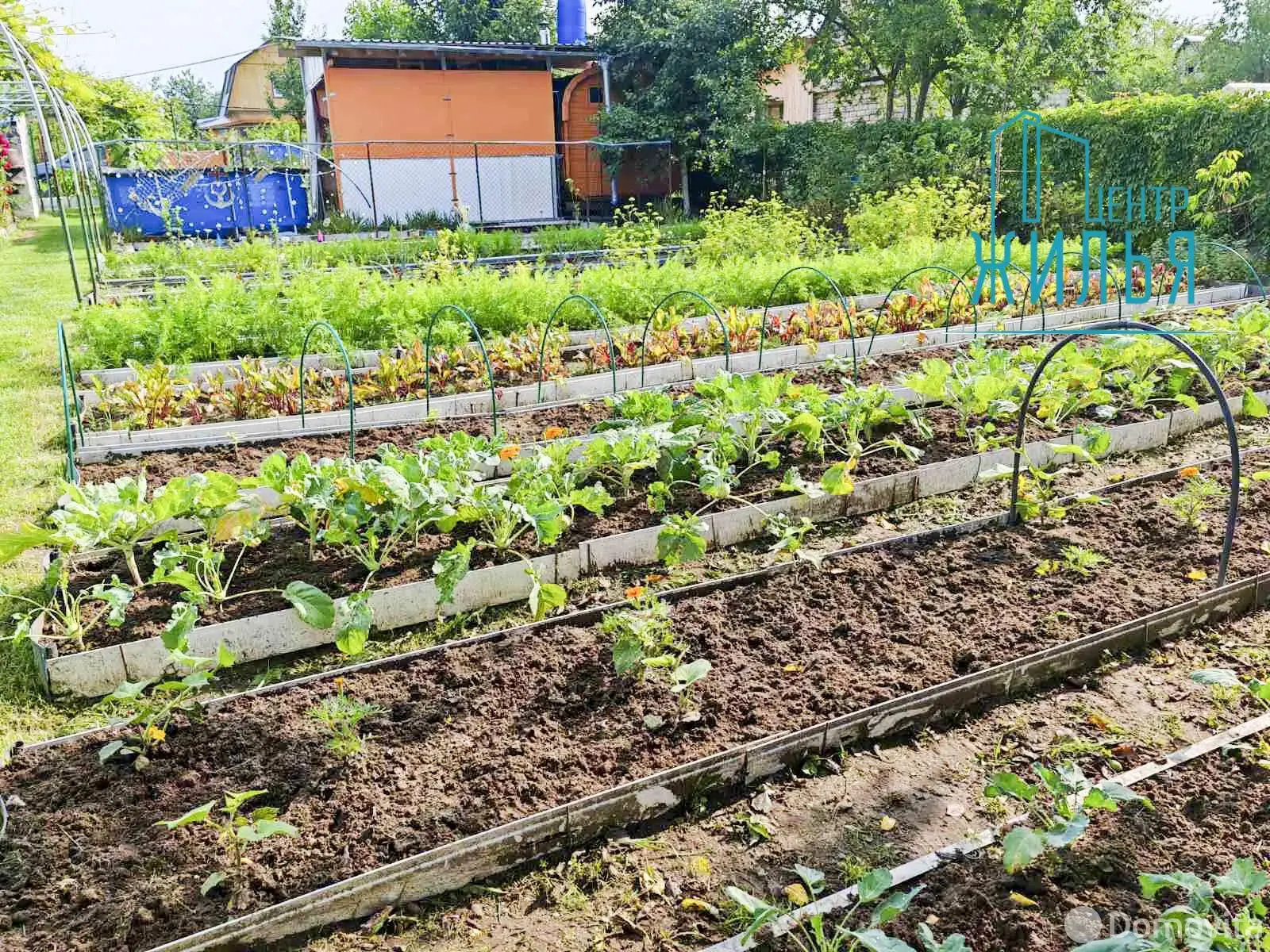 Продажа 1-этажной дачи в Крушина Гродненская область, 60000BYN, код 184247 - фото 15