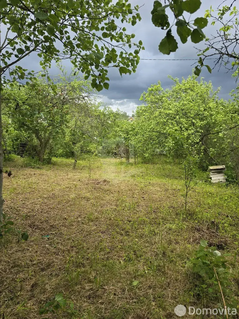 участок, Янтарь, 