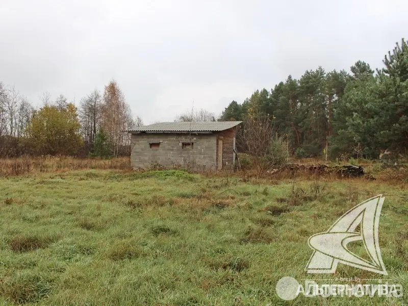 дом, Заболотье,