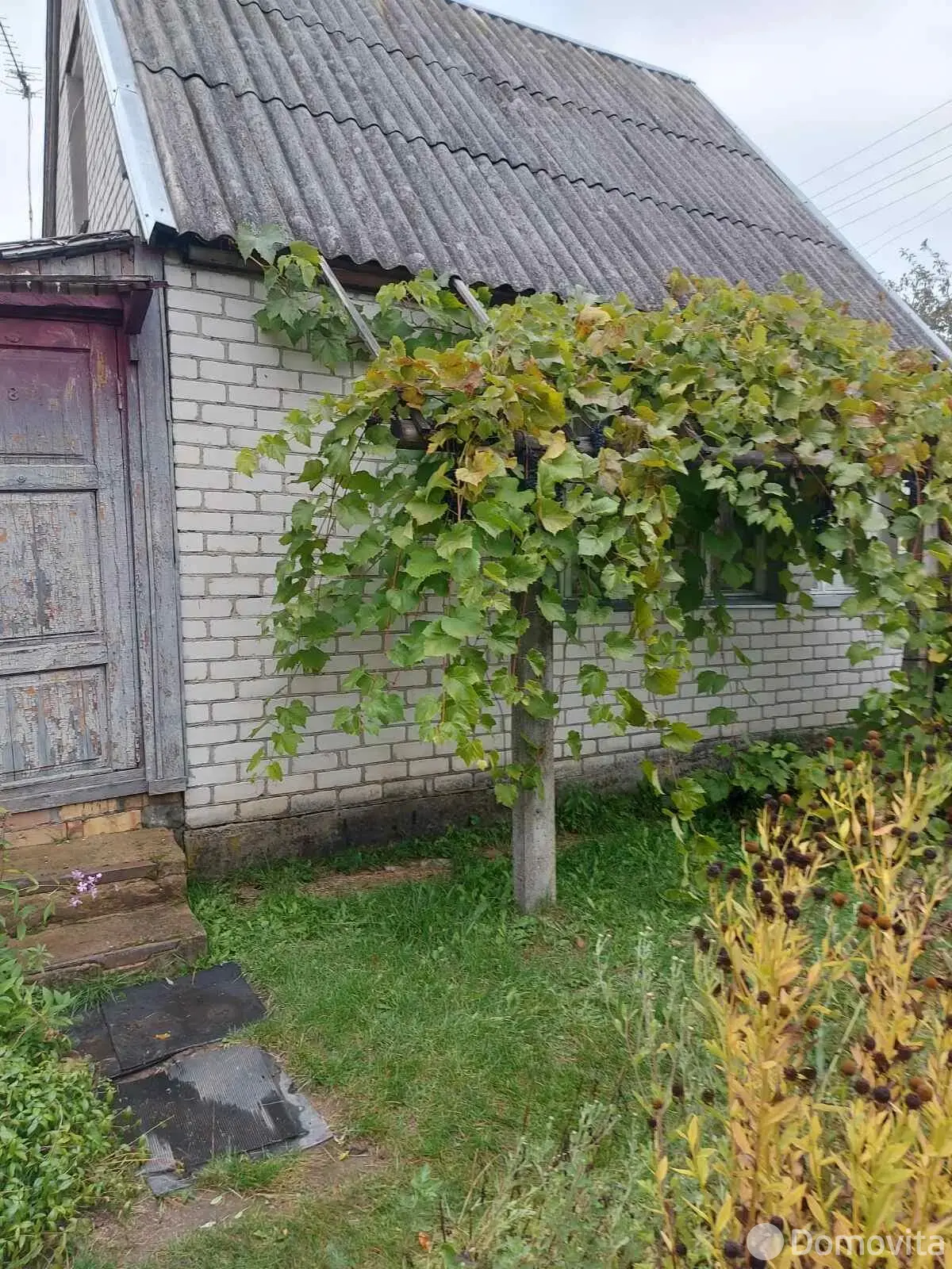 дача, Прыгажосць, 