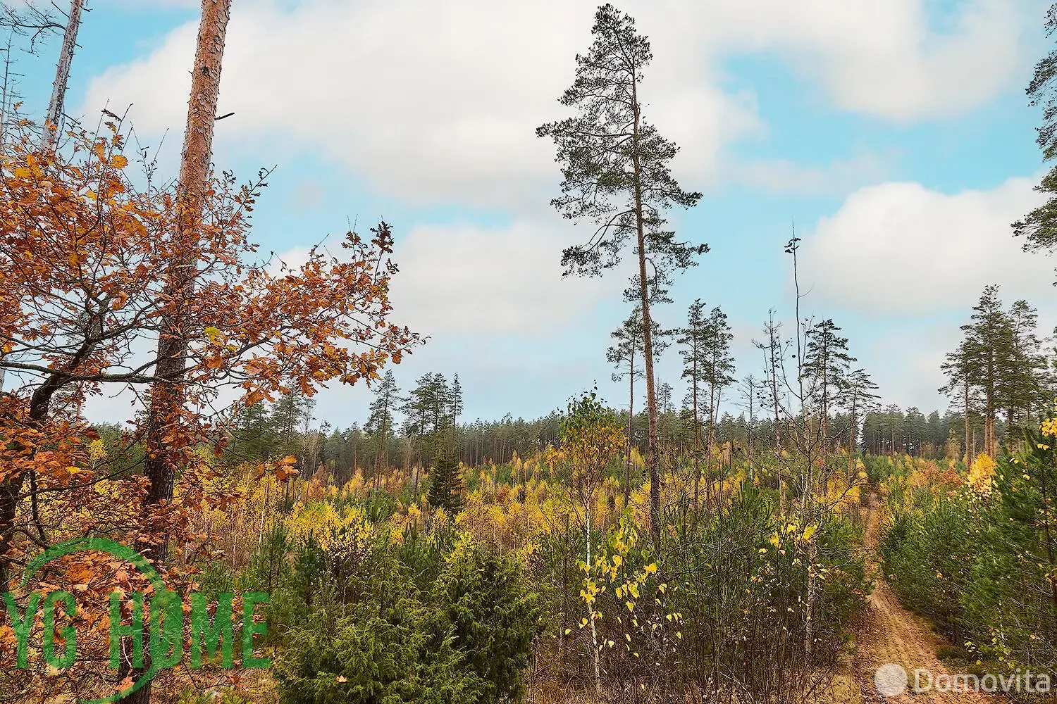 Продажа 1-этажной дачи в Приозерный Минская область, 109900USD, код 184417 - фото 42