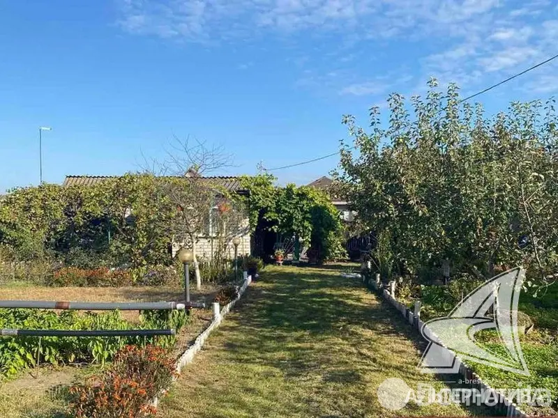 дача, Молодая гвардия 91, 