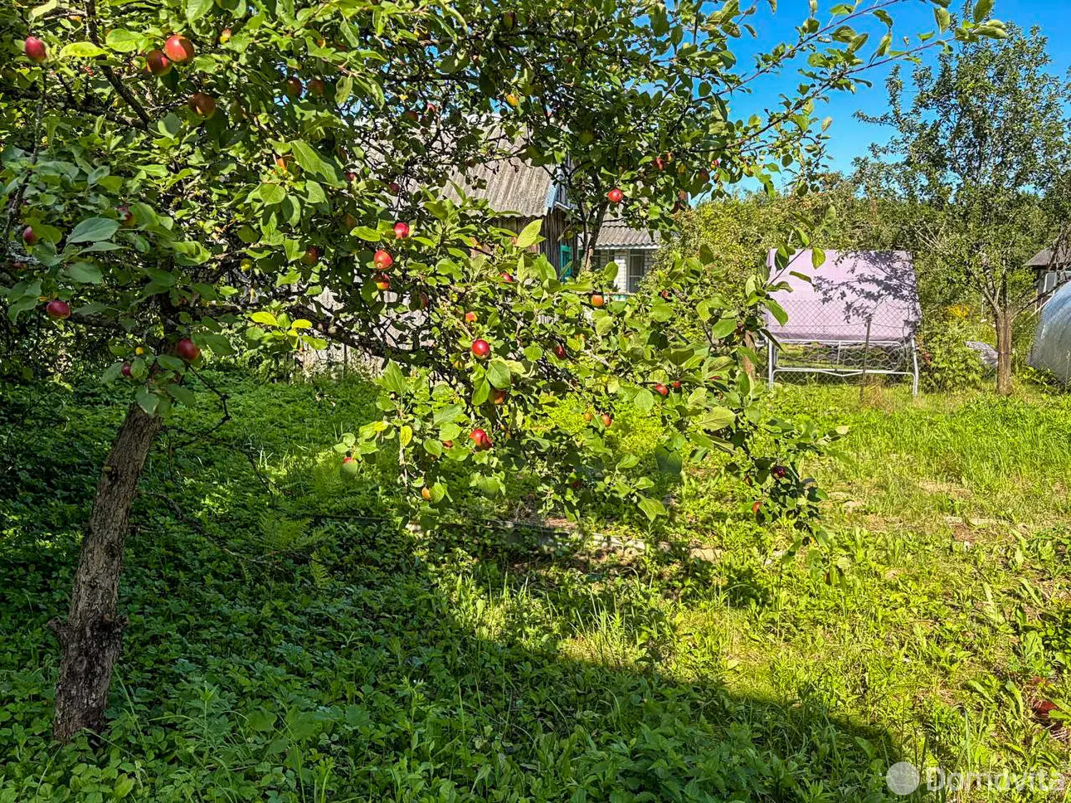Продажа 2-этажной дачи в Колос БГУ Минская область, 43000BYN, код 186541 - фото 14