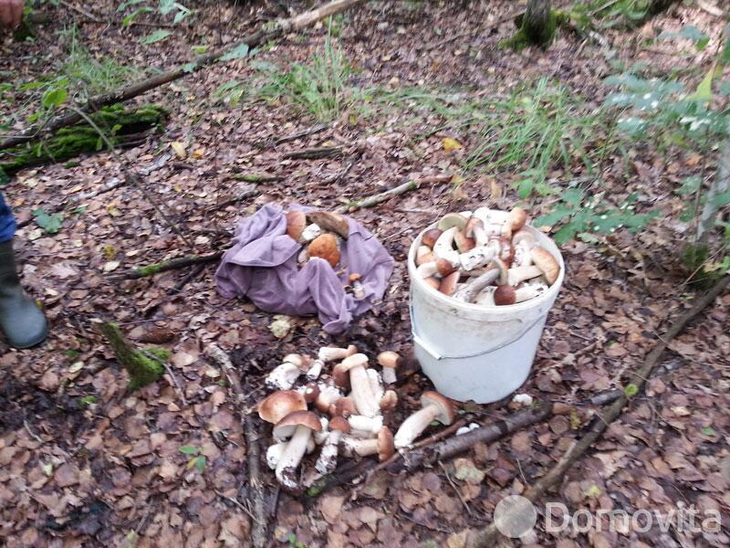 Купить помещение под сферу услуг в Колоднице, ул. Центральная, д. 108 - фото 30