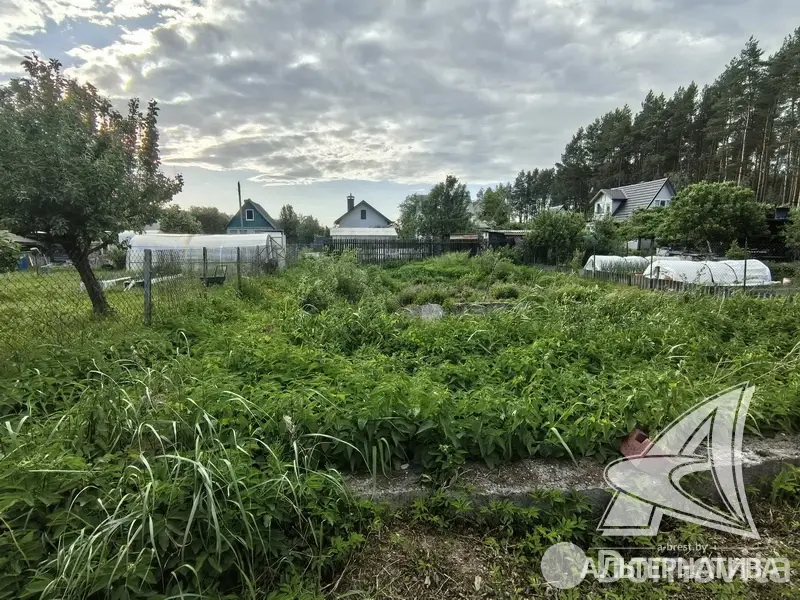 Купить земельный участок, 3.22 соток, Урожай ОАО Брестхлебопродукт, Брестская область, 15125BYN, код 572007 - фото 1