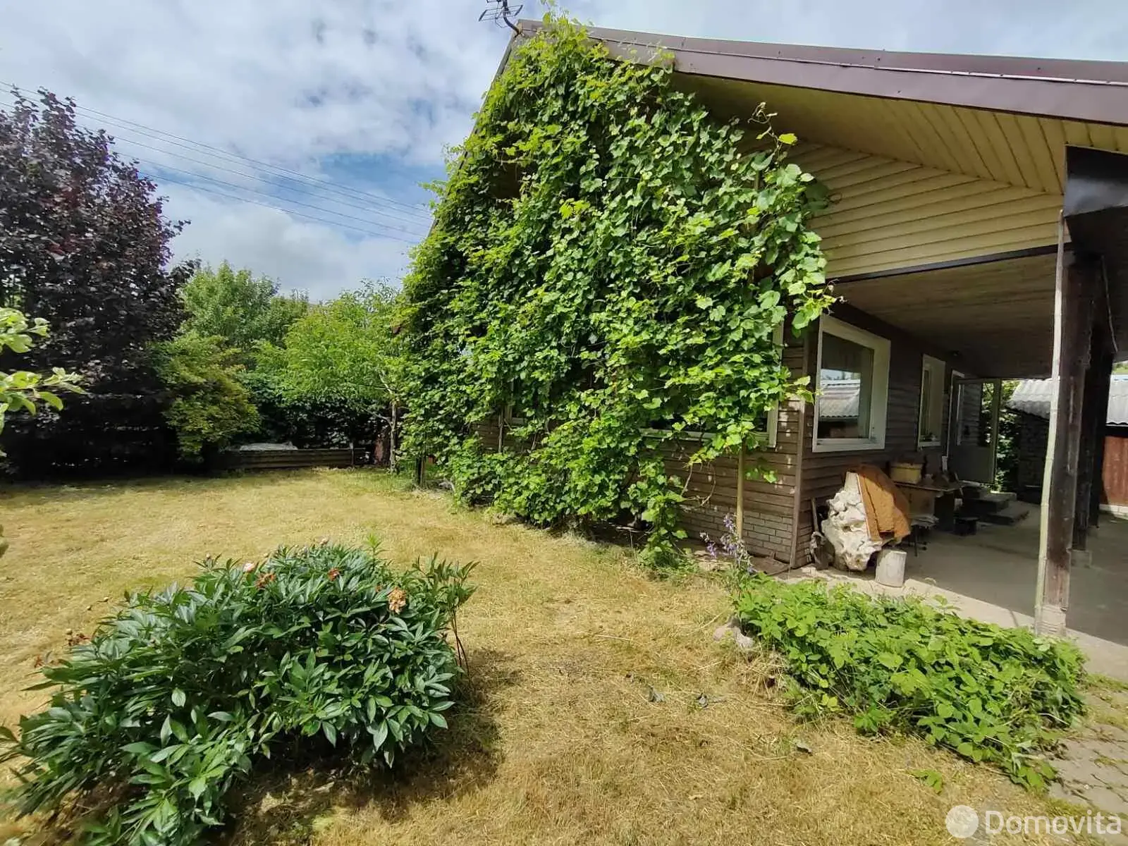 дача, Зенитчик,