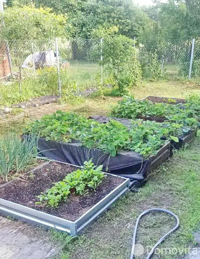 Продажа 2-этажной дачи в Овощник-плюс Минская область, 27500USD, код 185354 - фото 16