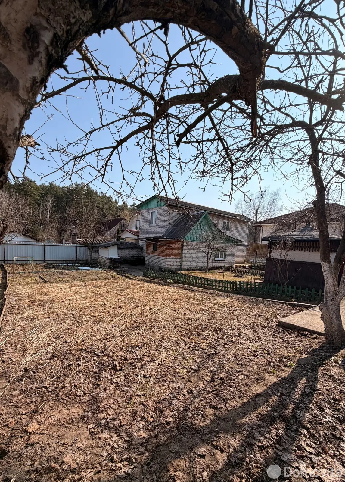 дача, Ждановичи,