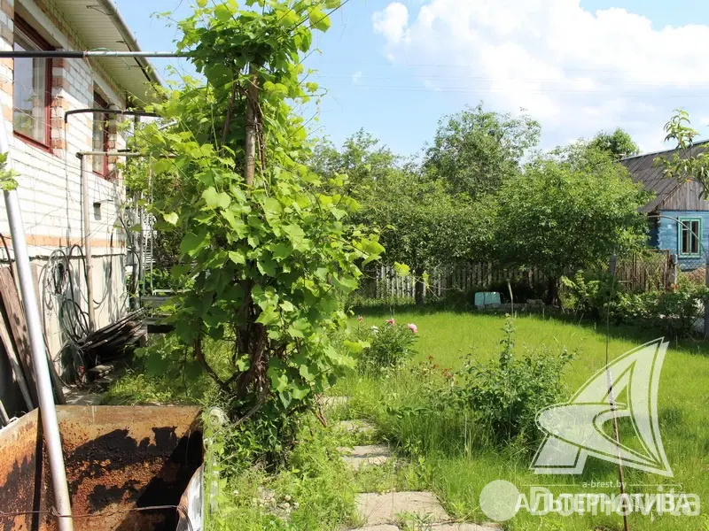 Продажа 2-этажной дачи в Зеленый бор Брестского района Брестская область, 45000USD, код 162193 - фото 21