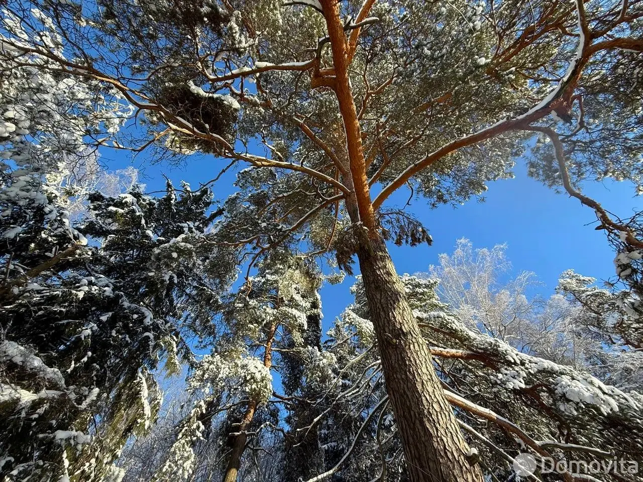 Купить земельный участок, 15 соток, Каралино, Минская область, 65000USD, код 571590 - фото 1