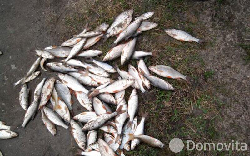 Купить помещение под сферу услуг в Колоднице, ул. Центральная, д. 108 - фото 27