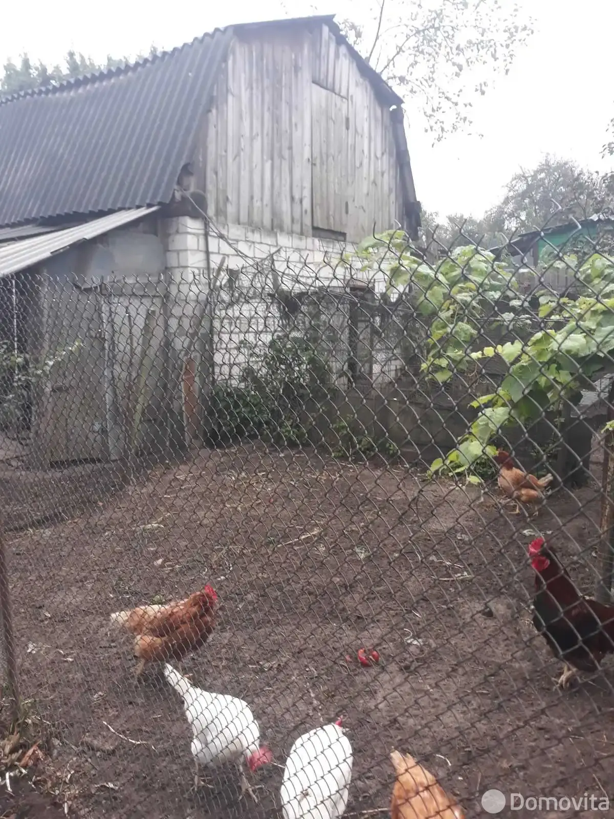 коттедж, Гомель, ул. Быховская, д. 51