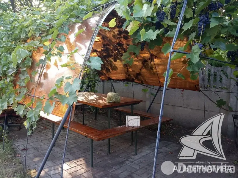 Продажа 2-этажной дачи в Строитель Брестская область, 24000USD, код 179850 - фото 28