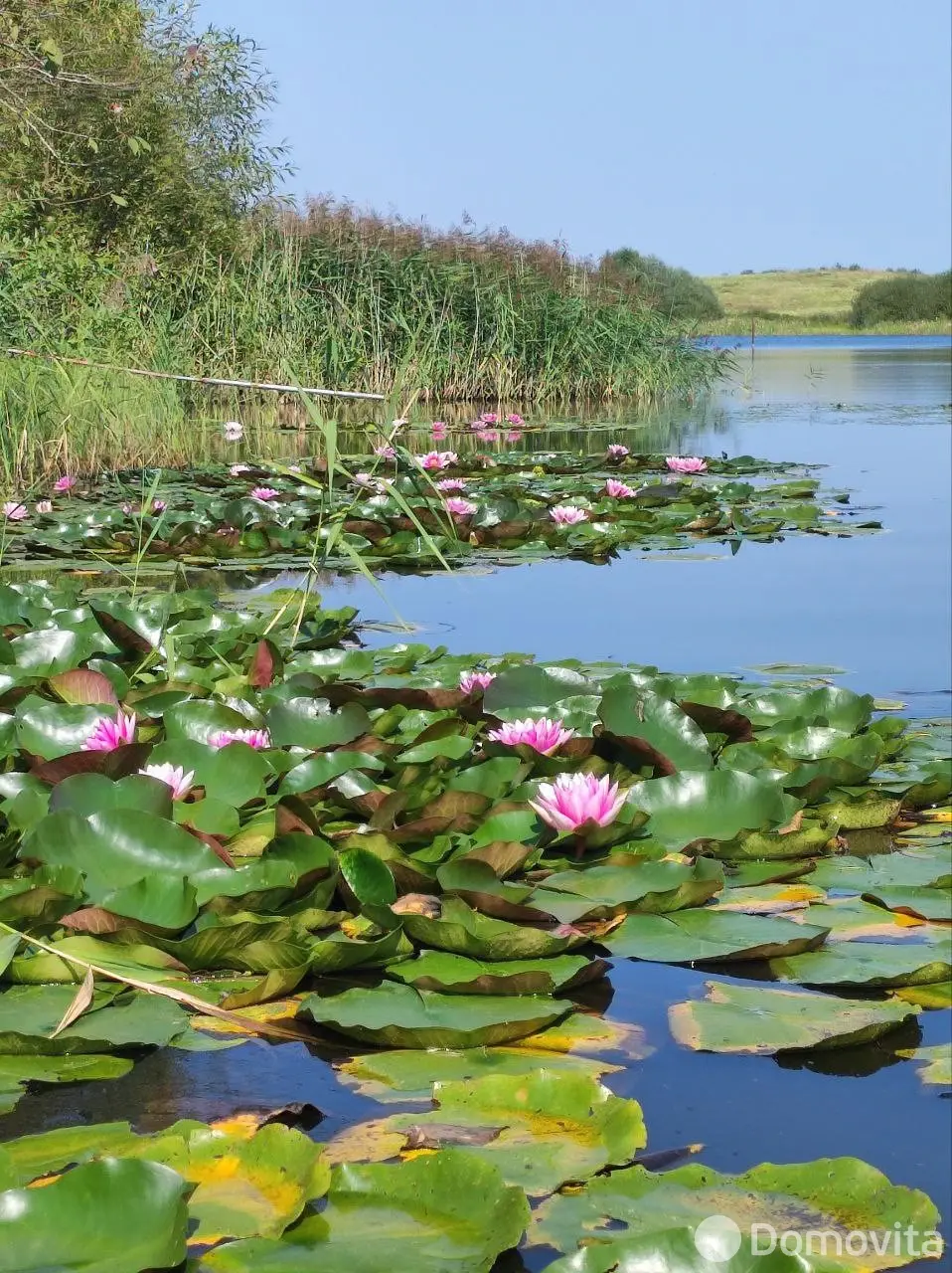 дом, Клюковка, ул. Витебская 