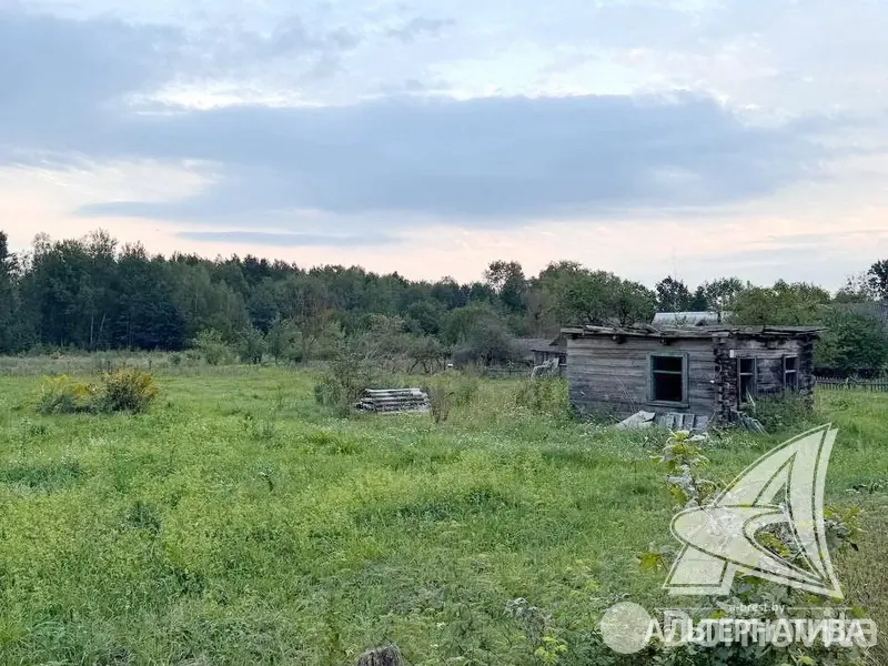 участок, Гусак, 