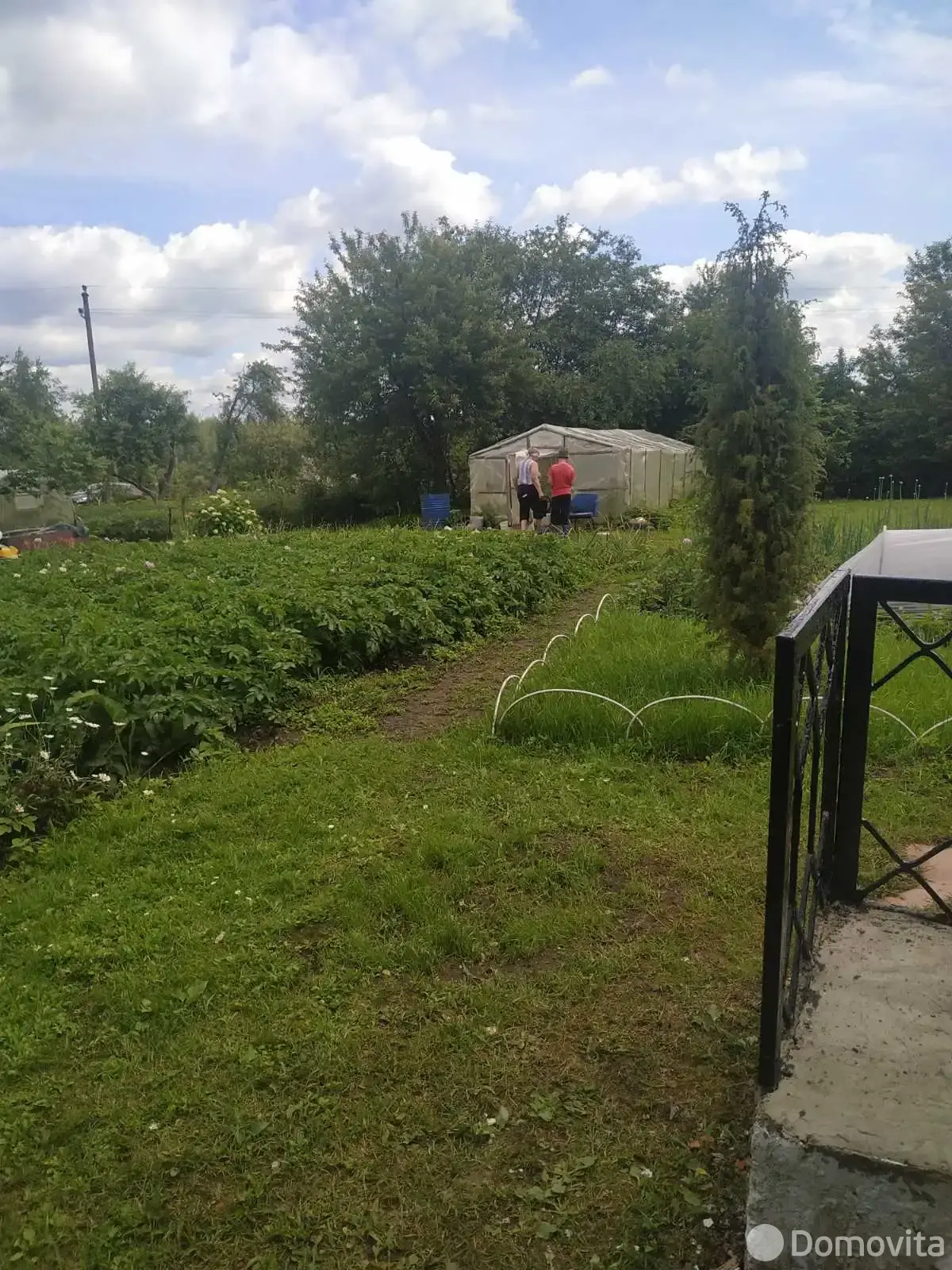 Продажа 2-этажной дачи в Ивушка Полоцкого района Витебская область, 5500USD, код 181759 - фото 11