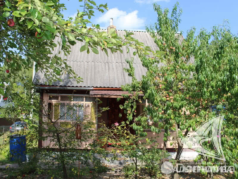 Продажа 2-этажной дачи в Прогресс Брестская область, 15000USD, код 179569 - фото 6