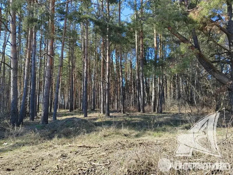 Купить 2-этажную дачу в Вымпел УВД Брестская область, 125000USD, код 182309 - фото 29