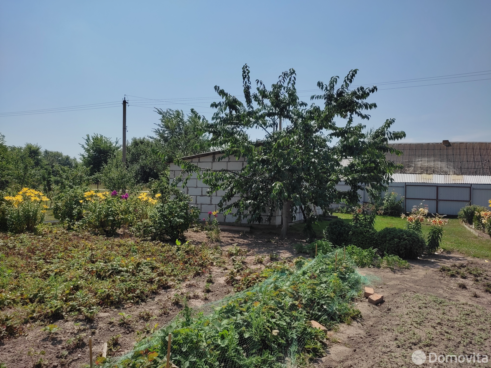 Купить 1-этажную дачу в Подгае Минская область, 9000USD, код 184121 - фото 13