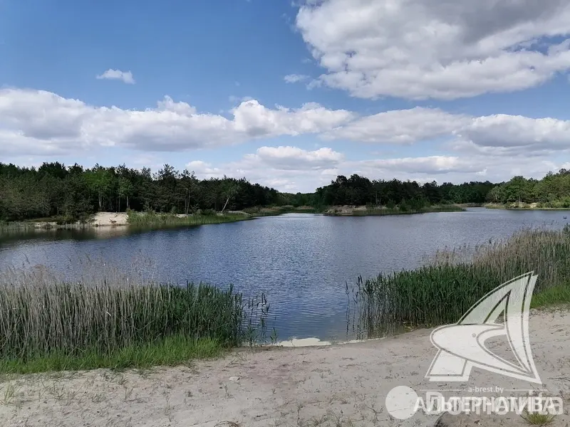 Продажа 2-этажной дачи в Березовая роща 395 Брестская область, 142000USD, код 168457 - фото 18