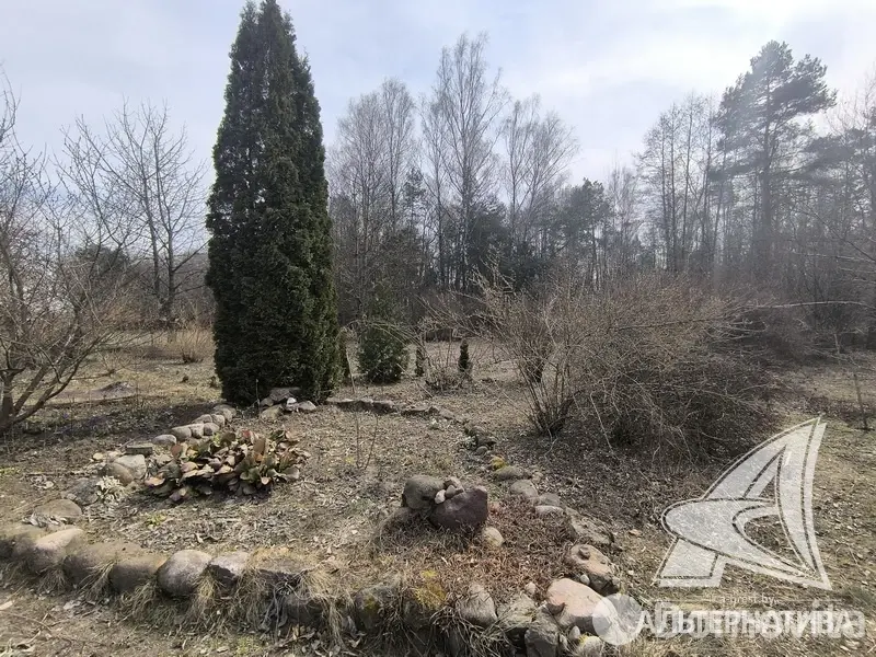 Купить 2-этажную дачу в Буг Жабинковского района Брестская область, 15000EUR, код 181980 - фото 22