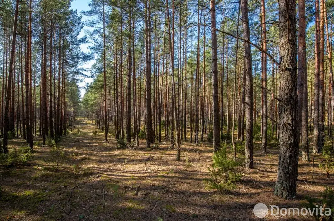 Купить 2-этажную дачу в Силикат Минская область, 9800USD, код 185605 - фото 18