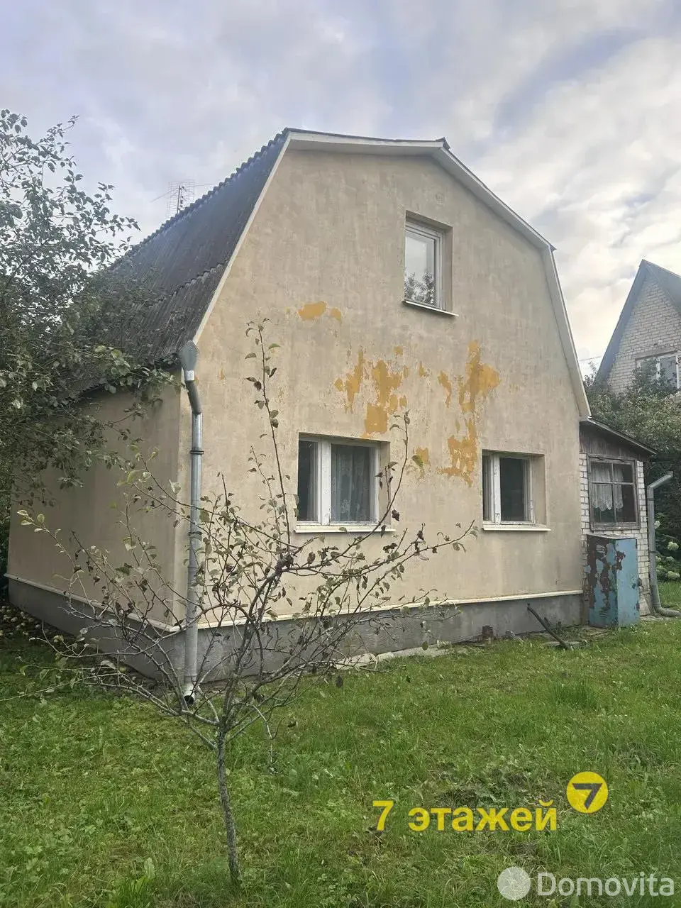 дача, Домашаны, 