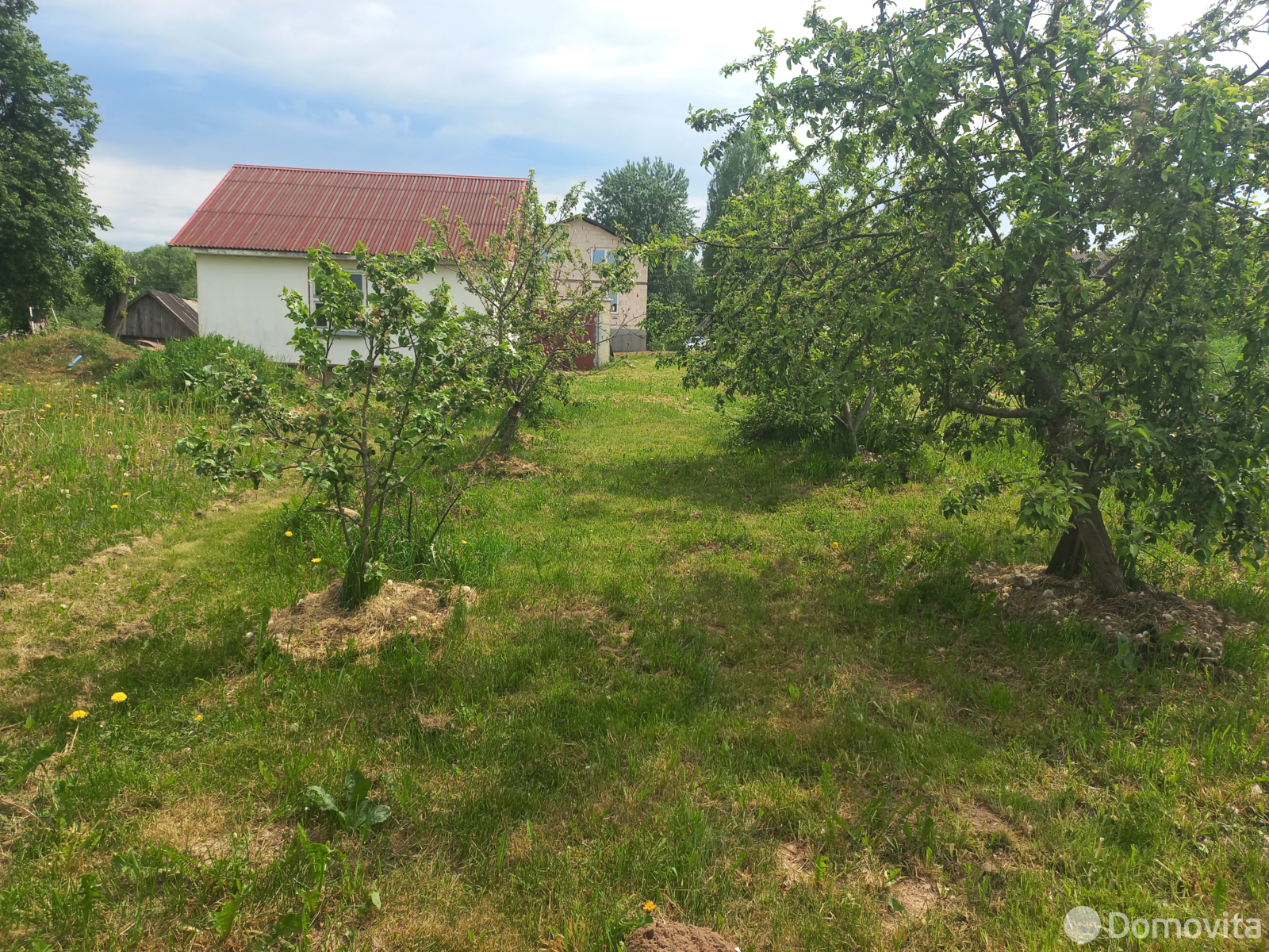 участок, Рыжики, ул. Центральная