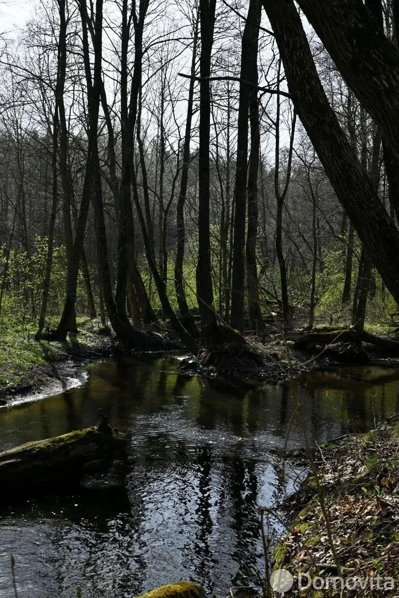 Купить земельный участок, 19.96 соток, Марковщина, Минская область, 35000USD, код 571552 - фото 31