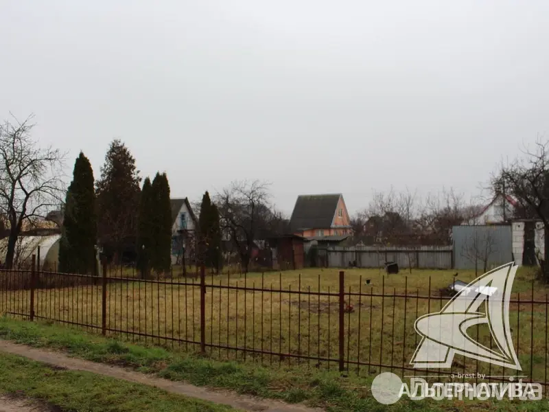 участок, Урожай ОАО Брестхлебопродукт,