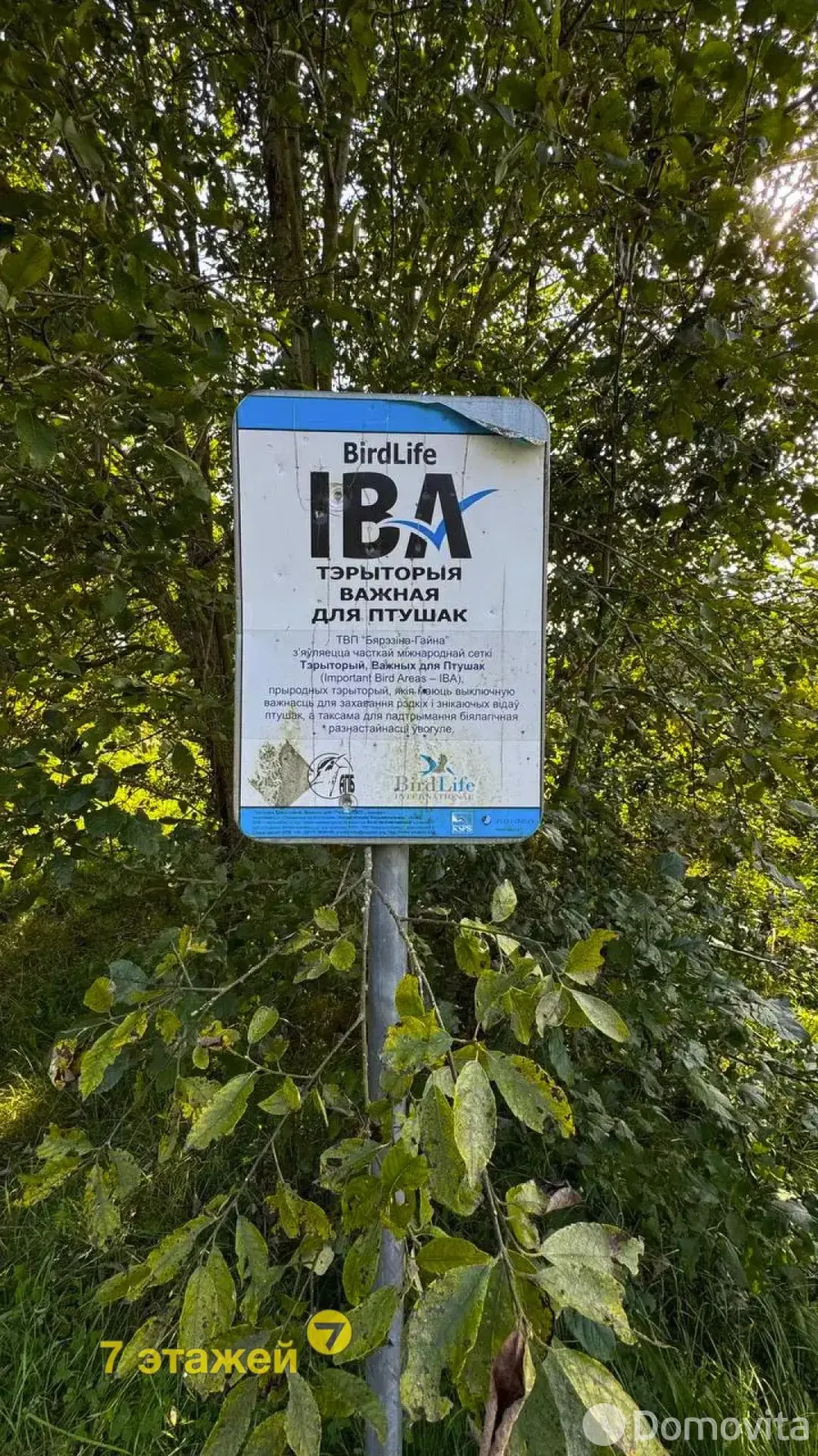 Продажа 2-этажной дачи в Энергостроителе Минская область, 8700USD, код 175338 - фото 43