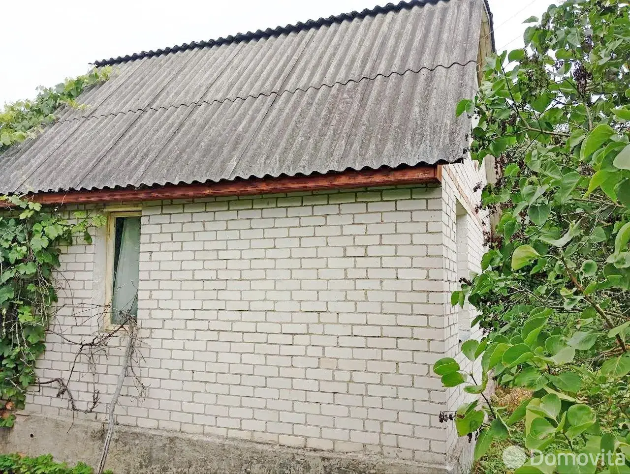 дача, Шарик, д. 590 