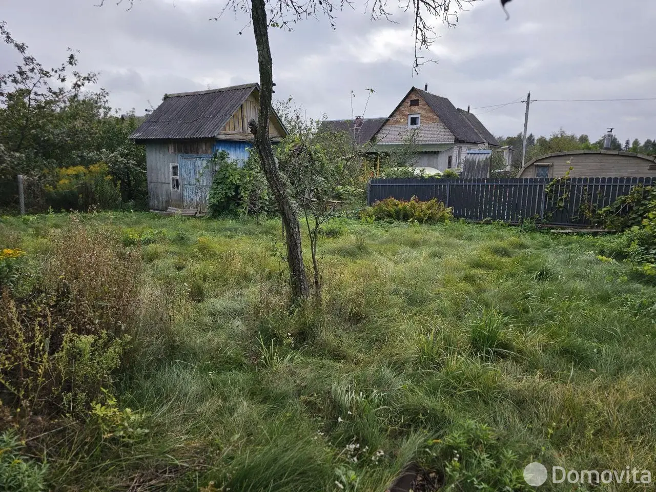 дача, Дорожник,