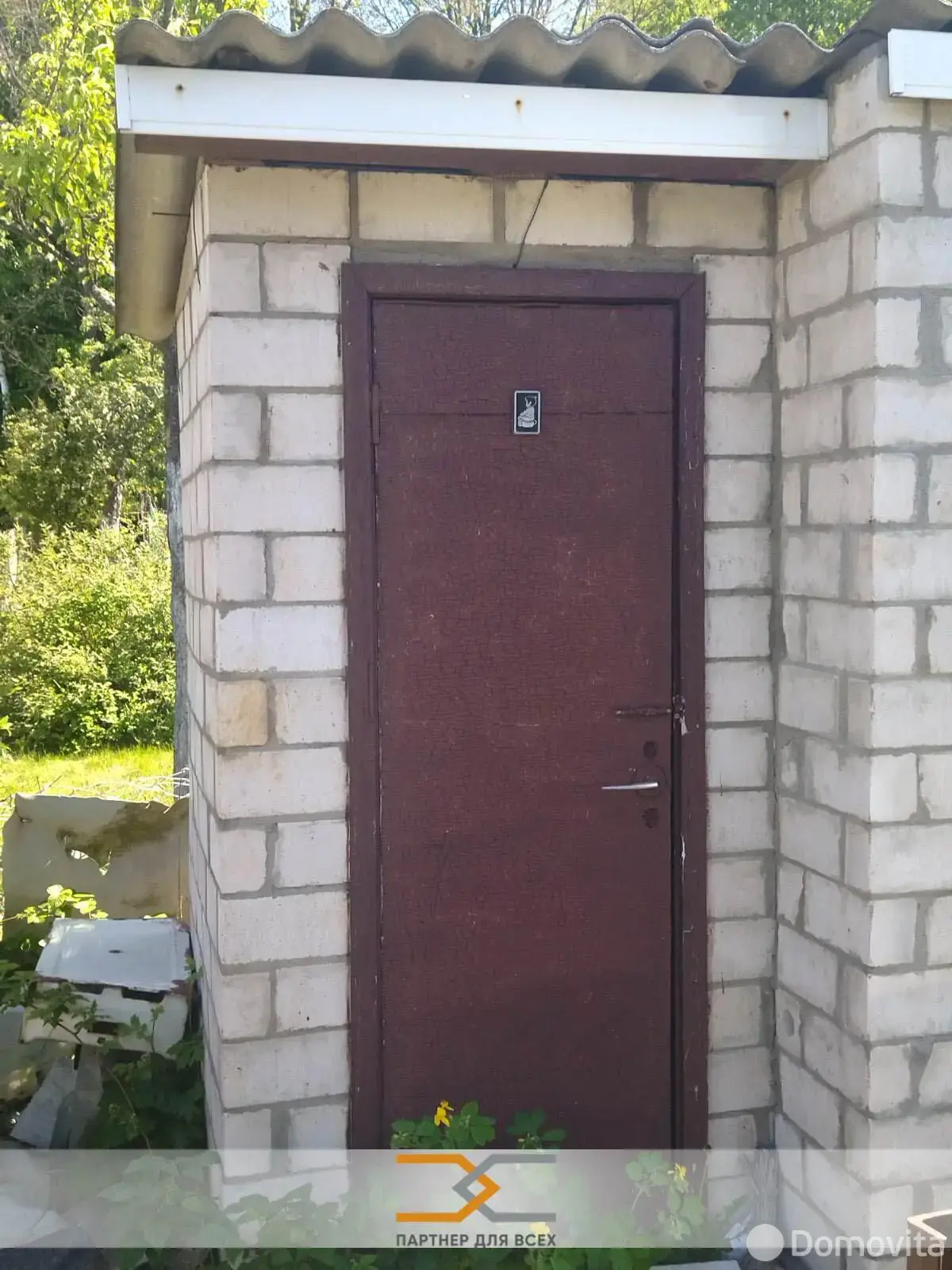 дача, Зелёный экспресс, 