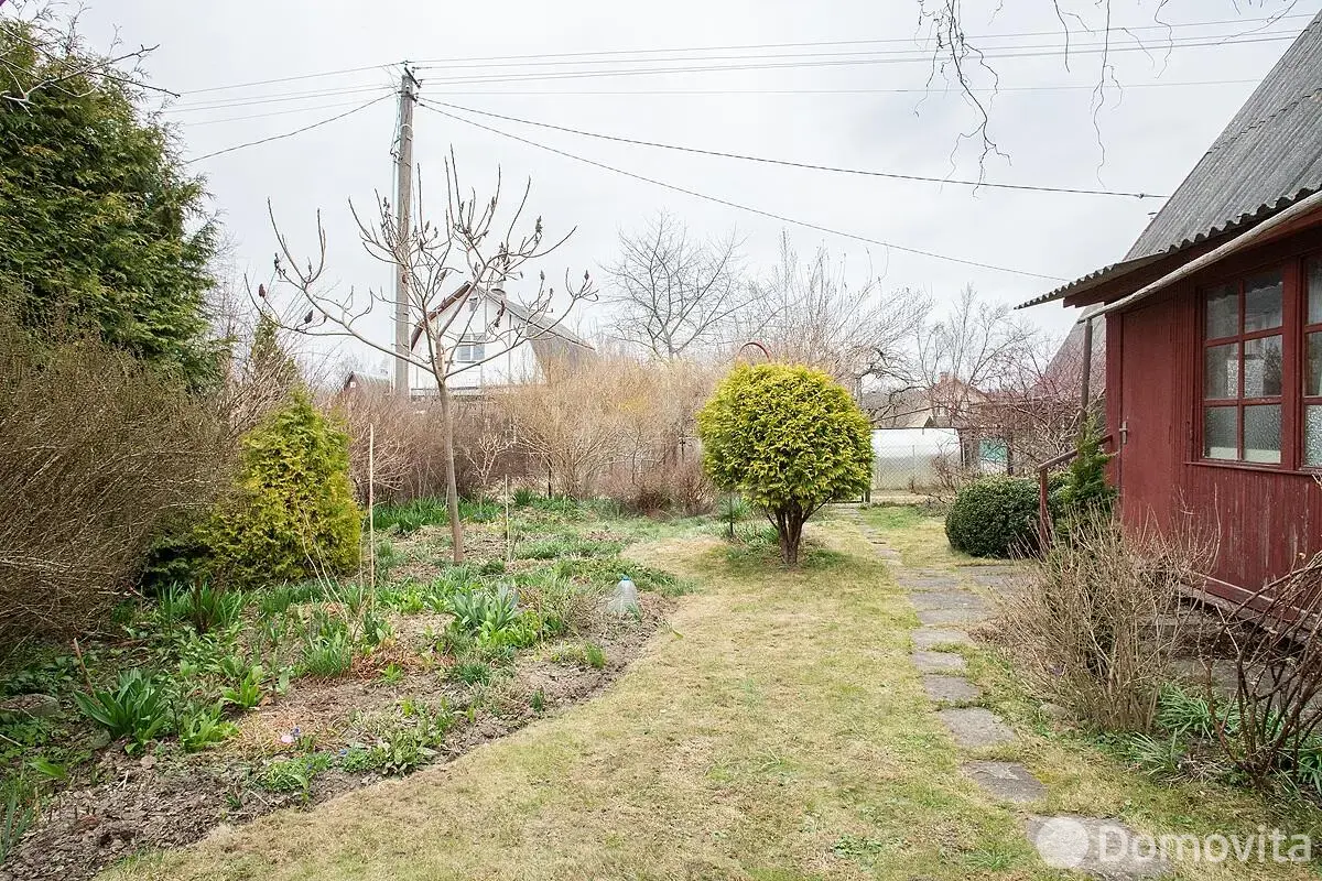 дача, Птичь, 