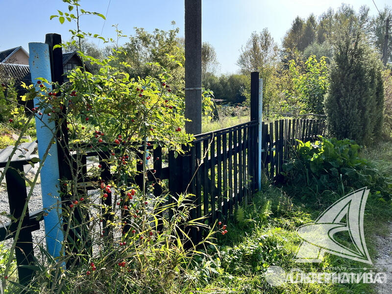 Продажа 1-этажной дачи в Строитель Брестская область, 16000USD, код 173114 - фото 13