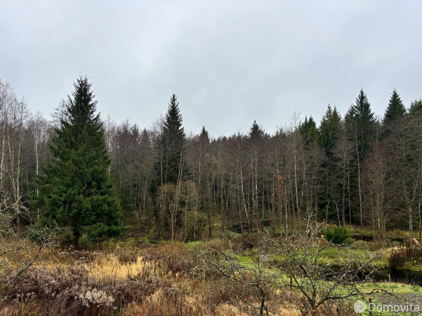 дом, Неманица, пер. Колхозный