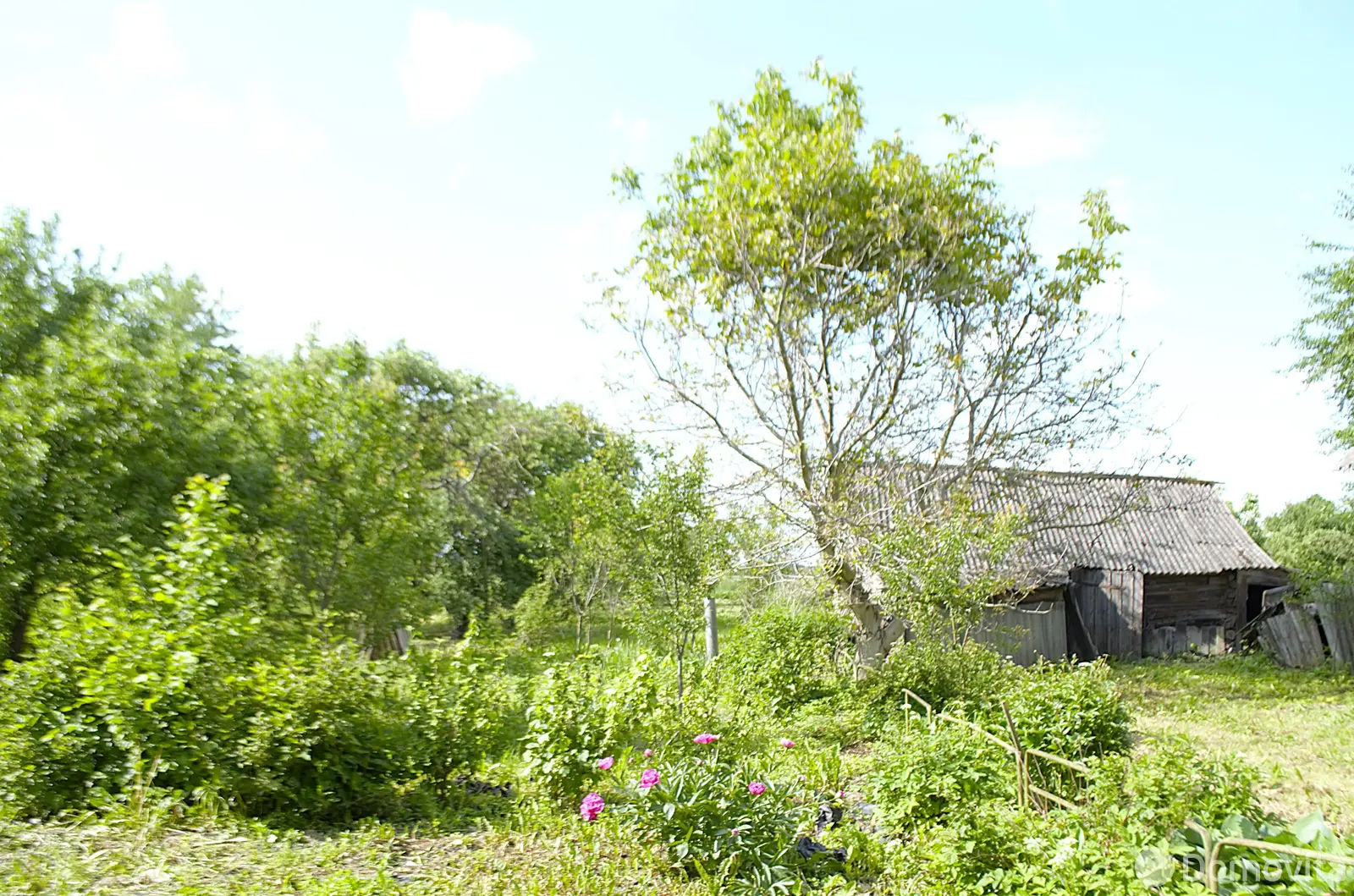 Купить земельный участок, 25 соток, Селище, Минская область, 6900USD, код 570642 - фото 15