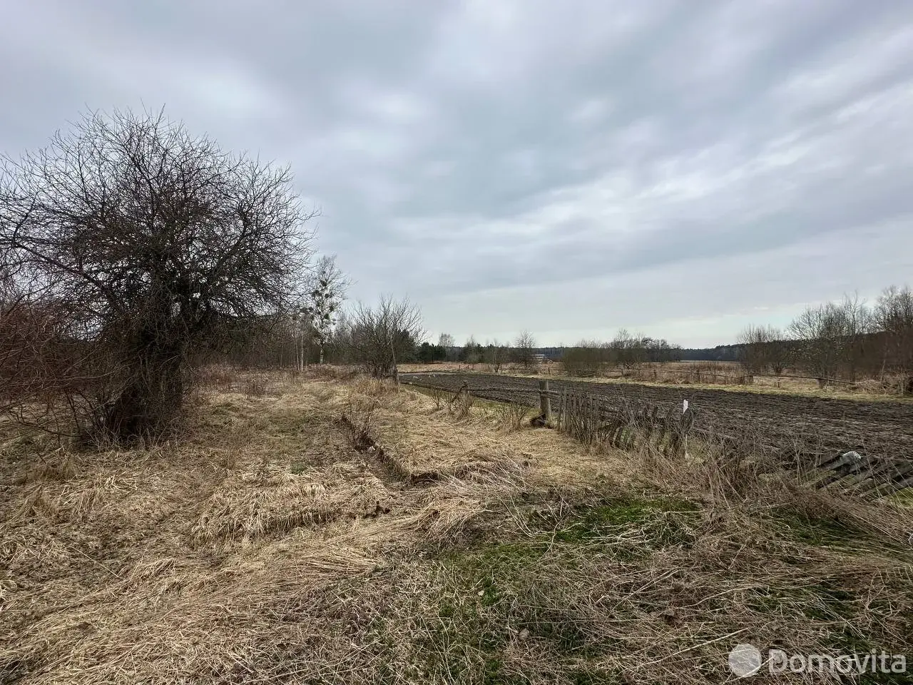 участок, Теребейное, д. 23 - лучшее предложение