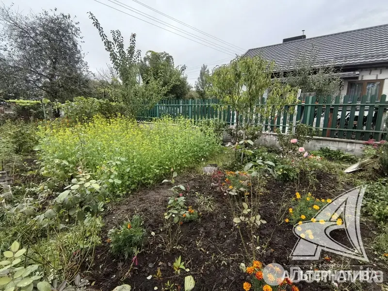 Продажа 1-этажной дачи в Керамик-1 Брестская область, 19000USD, код 184197 - фото 11