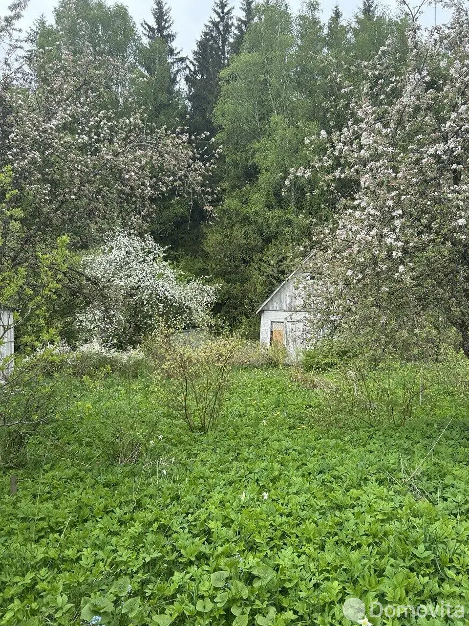 Купить земельный участок, 5.3 соток, Купалинка-1981, Минская область, 33960BYN, код 571972 - фото 22