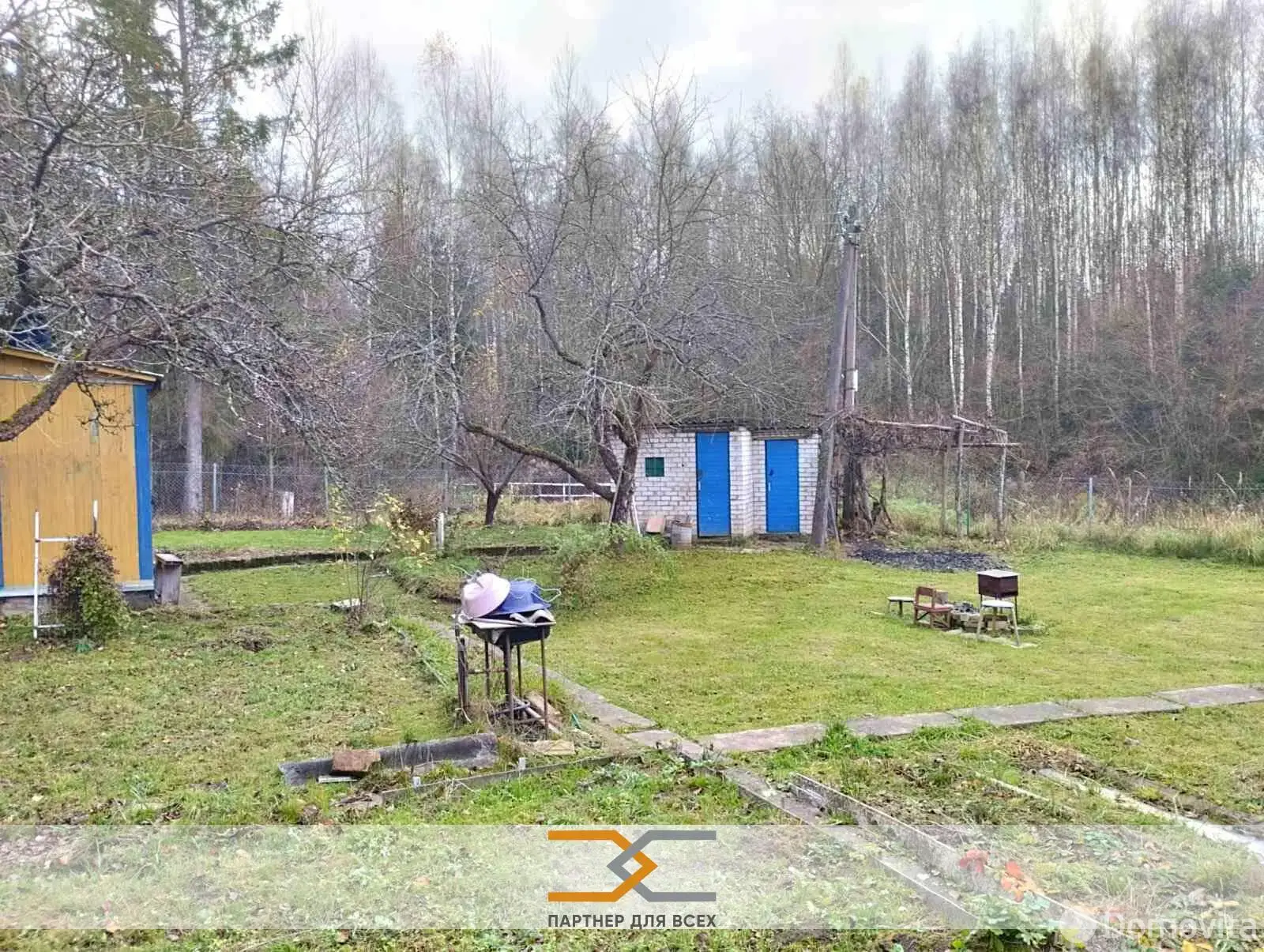 дача, Ромашка Соломореченская,