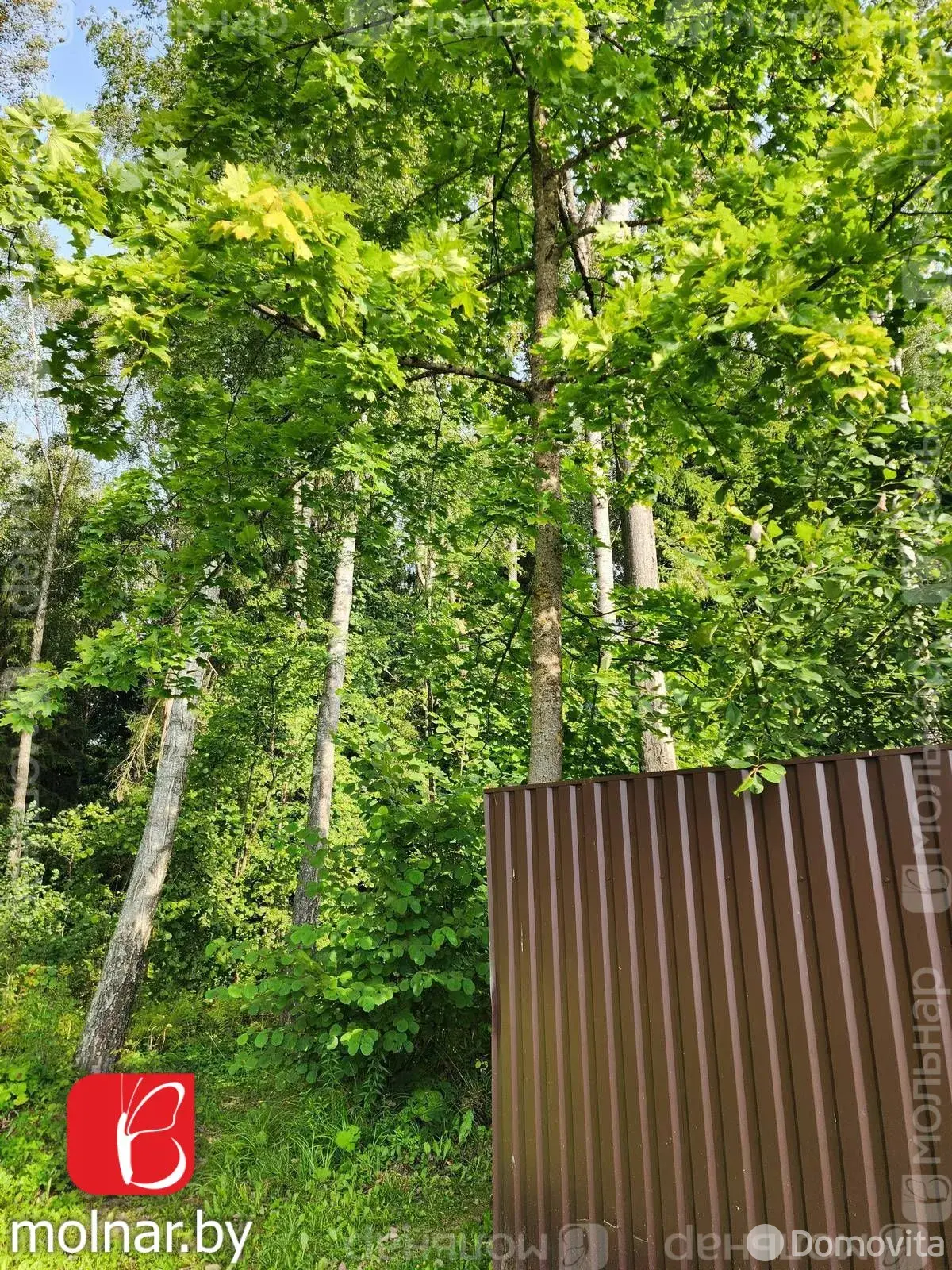 Купить земельный участок, 30 соток, КРУТАЯ ГОРА, Минская область, 32000USD, код 570961 - фото 13