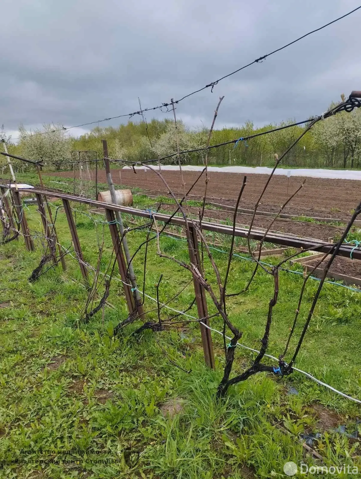 дом, Завидичи, д. 36 - лучшее предложение