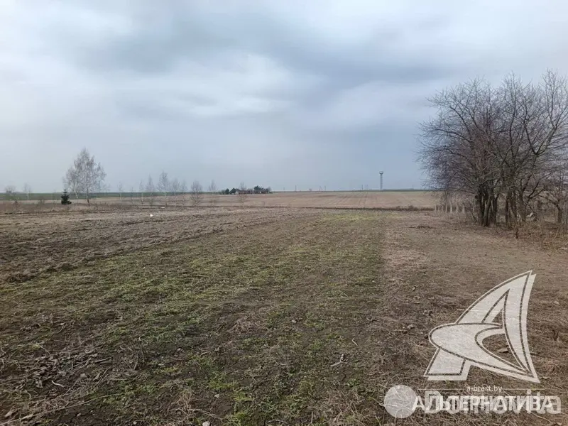 дом, Остромечево, - лучшее предложение
