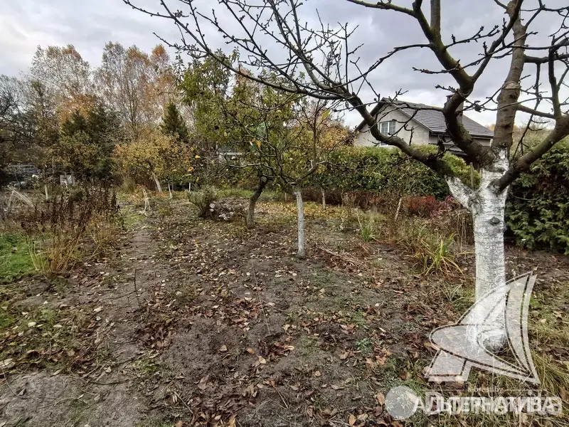 Продажа 1-этажной дачи в Машиностроитель Брестская область, 42000USD, код 184448 - фото 11